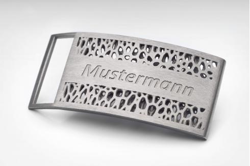 Belt-buckle (organic) 